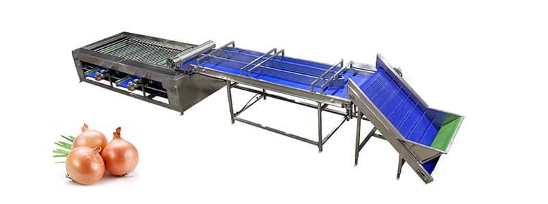 images/1675414605632onion sorting machine.jpg